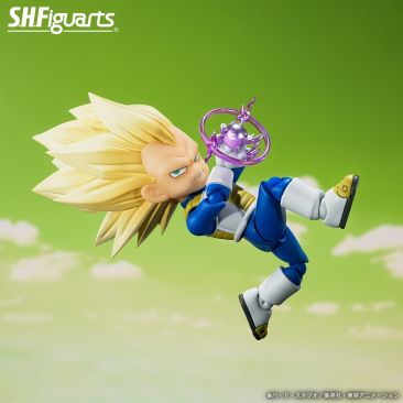 Mini Vegeta Image 3