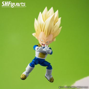 Mini Vegeta Image 4