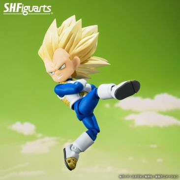 Mini Vegeta Image 5