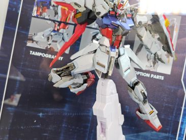 Display Image 8