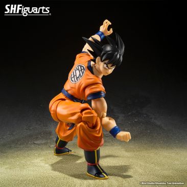 S.H. Figuarts Son Goku Figure 2