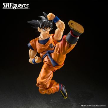 S.H. Figuarts Son Goku Figure 4