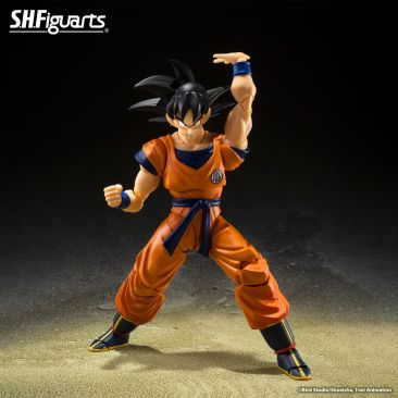 S.H. Figuarts Son Goku Figure 5